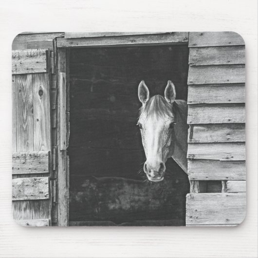 Tapis De Souris Cheval Peekaboo Grey Mare (Devant)