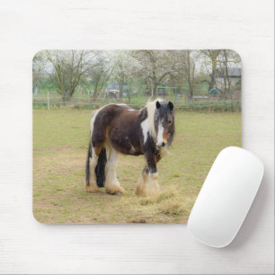 Tapis De Souris Cheval Piebald dans le pâturage