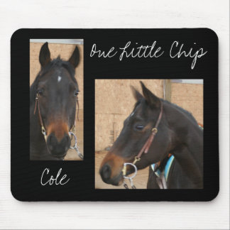 Tapis De Souris Cheval quart Mousepad