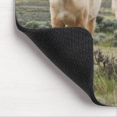 Tapis De Souris Cheval sauvage en itinérance sur le Priaire de Cod (Coin)