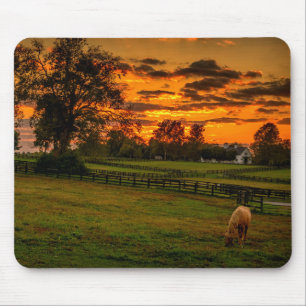 Tapis De Souris Cheval solitaire au coucher du soleil