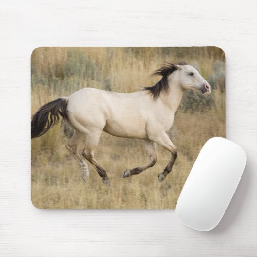 Tapis De Souris Cheval Traversant L'Herbe Des Prairies (Avec souris)