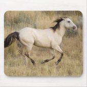 Tapis De Souris Cheval Traversant L'Herbe Des Prairies (Devant)