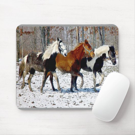 Tapis De Souris Cheval Trio Mousepad (Avec souris)