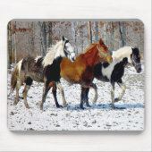 Tapis De Souris Cheval Trio Mousepad (Devant)