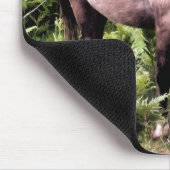 TAPIS DE SOURIS CHEVAUX (Coin)