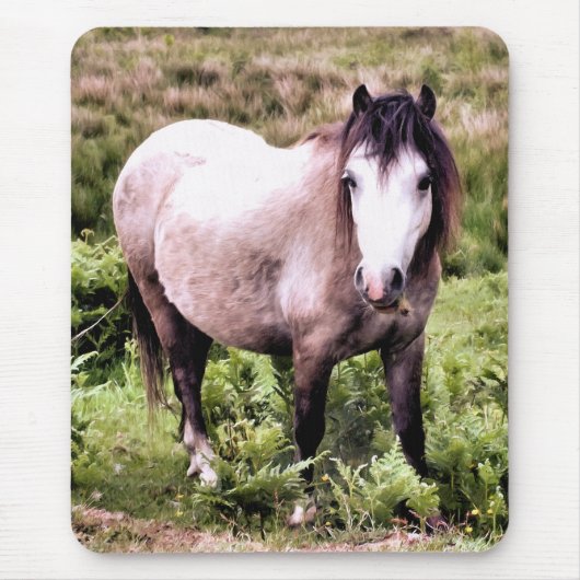 TAPIS DE SOURIS CHEVAUX (Devant)