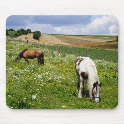Tapis De Souris Chevaux (Devant)