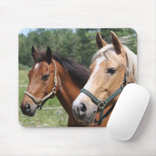 Tapis De Souris Chevaux (Avec souris)