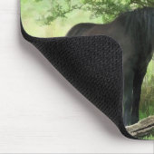 TAPIS DE SOURIS CHEVAUX (Coin)