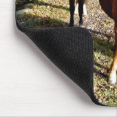 TAPIS DE SOURIS CHEVAUX (Coin)