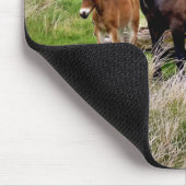 TAPIS DE SOURIS CHEVAUX (Coin)