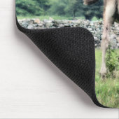 TAPIS DE SOURIS CHEVAUX (Coin)