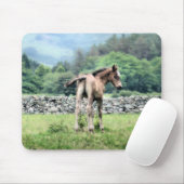 TAPIS DE SOURIS CHEVAUX (Avec souris)