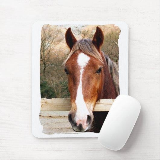 TAPIS DE SOURIS CHEVAUX (Avec souris)