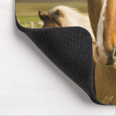 Tapis De Souris Chevaux (Coin)