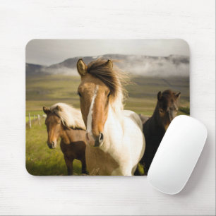 Tapis De Souris Chevaux