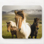 Tapis De Souris Chevaux (Devant)