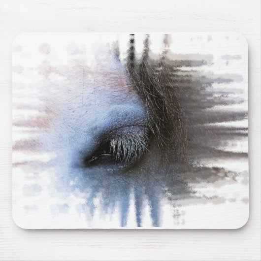 TAPIS DE SOURIS CHEVAUX (Devant)