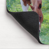 Tapis De Souris Chevaux (Coin)