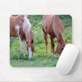 Tapis De Souris Chevaux (Avec souris)