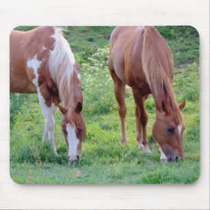 Tapis De Souris Chevaux