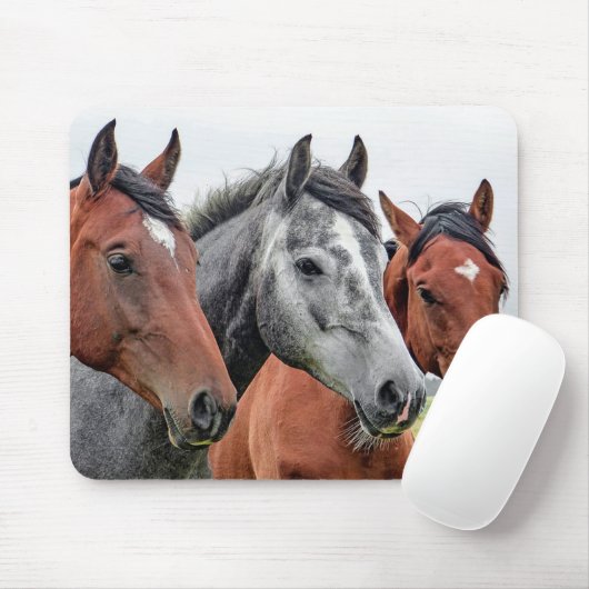Tapis De Souris Chevaux (Avec souris)