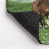 Tapis De Souris Chevaux 3 (Coin)
