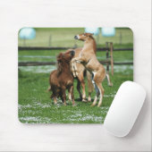 Tapis De Souris Chevaux 3 (Avec souris)