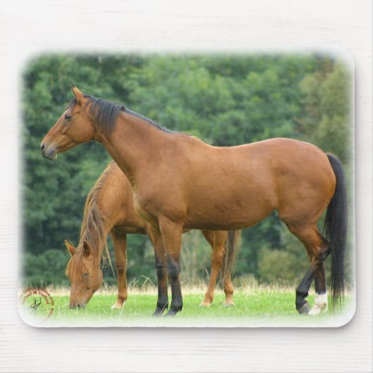 Tapis De Souris Chevaux 9A81D-10 (Devant)