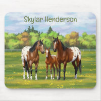 Chevaux Appaloosa De Baie Brown En Pâturage D'Été