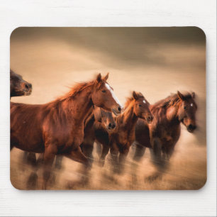 Tapis De Souris Chevaux au galop