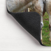 Tapis De Souris Chevaux blancs boueux, (Coin)