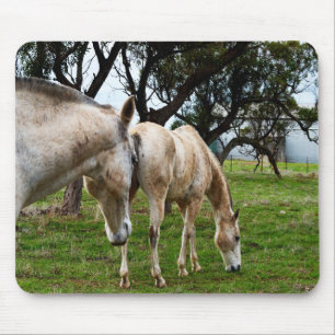 Tapis De Souris Chevaux blancs boueux,
