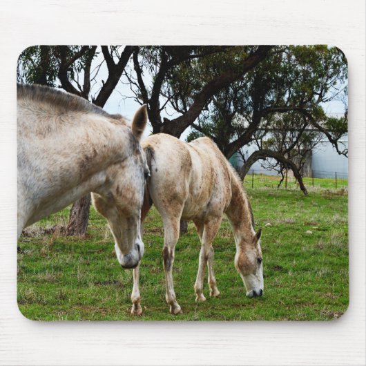 Tapis De Souris Chevaux blancs boueux, (Devant)