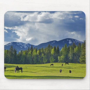 Tapis De Souris Chevaux broutent dans un pâturage près de Whitefis