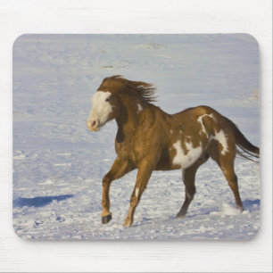 Tapis De Souris Chevaux courant dans la neige