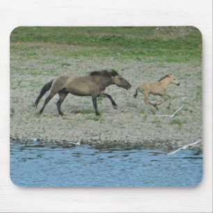 Tapis De Souris chevaux courants