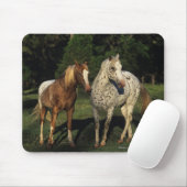 Tapis De Souris Chevaux d'Appaloosa (Avec souris)