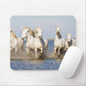 Tapis De Souris Chevaux de Camargue (Avec souris)