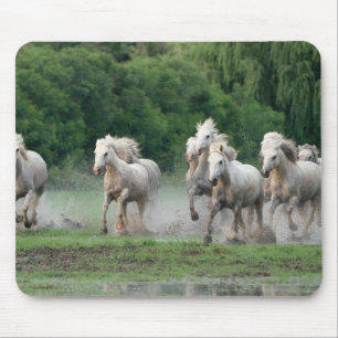 Tapis De Souris Chevaux de Camargue courant dans l'eau