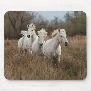 Tapis De Souris Chevaux de Camargue en course