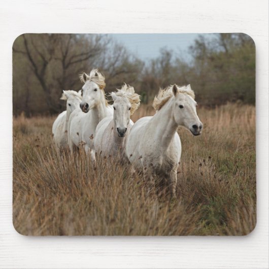 Tapis De Souris Chevaux de Camargue en course (Devant)