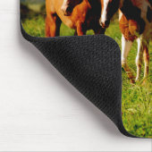 Tapis De Souris Chevaux de Kauai (Coin)