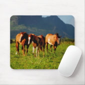 Tapis De Souris Chevaux de Kauai (Avec souris)