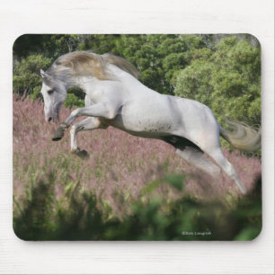 Tapis De Souris Chevaux d'imaginaire : Galop de ressort