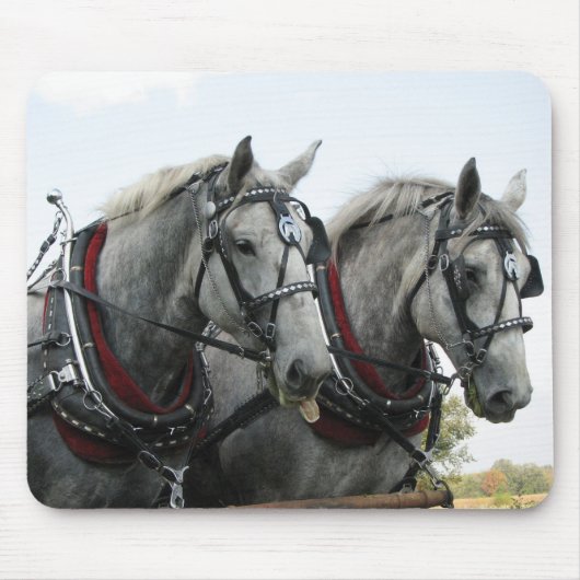 Tapis De Souris Chevaux drôles (Devant)