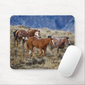 Tapis De Souris Chevaux errant dans les collines (Avec souris)