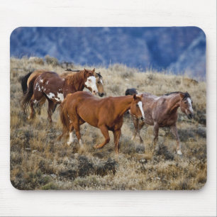 Tapis De Souris Chevaux errant dans les collines