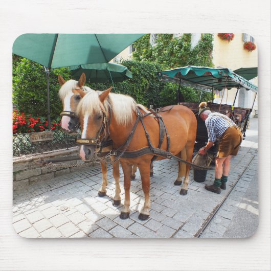 Tapis De Souris Chevaux et chariot (Devant)